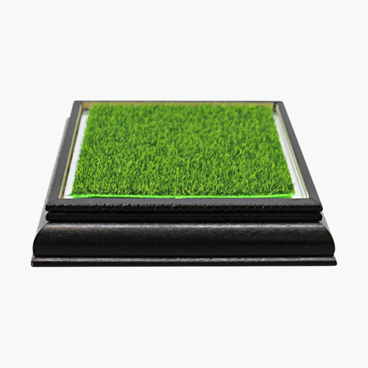 Glass Golf Ball Case with Wood Base and Putting Green Turf - Image 4