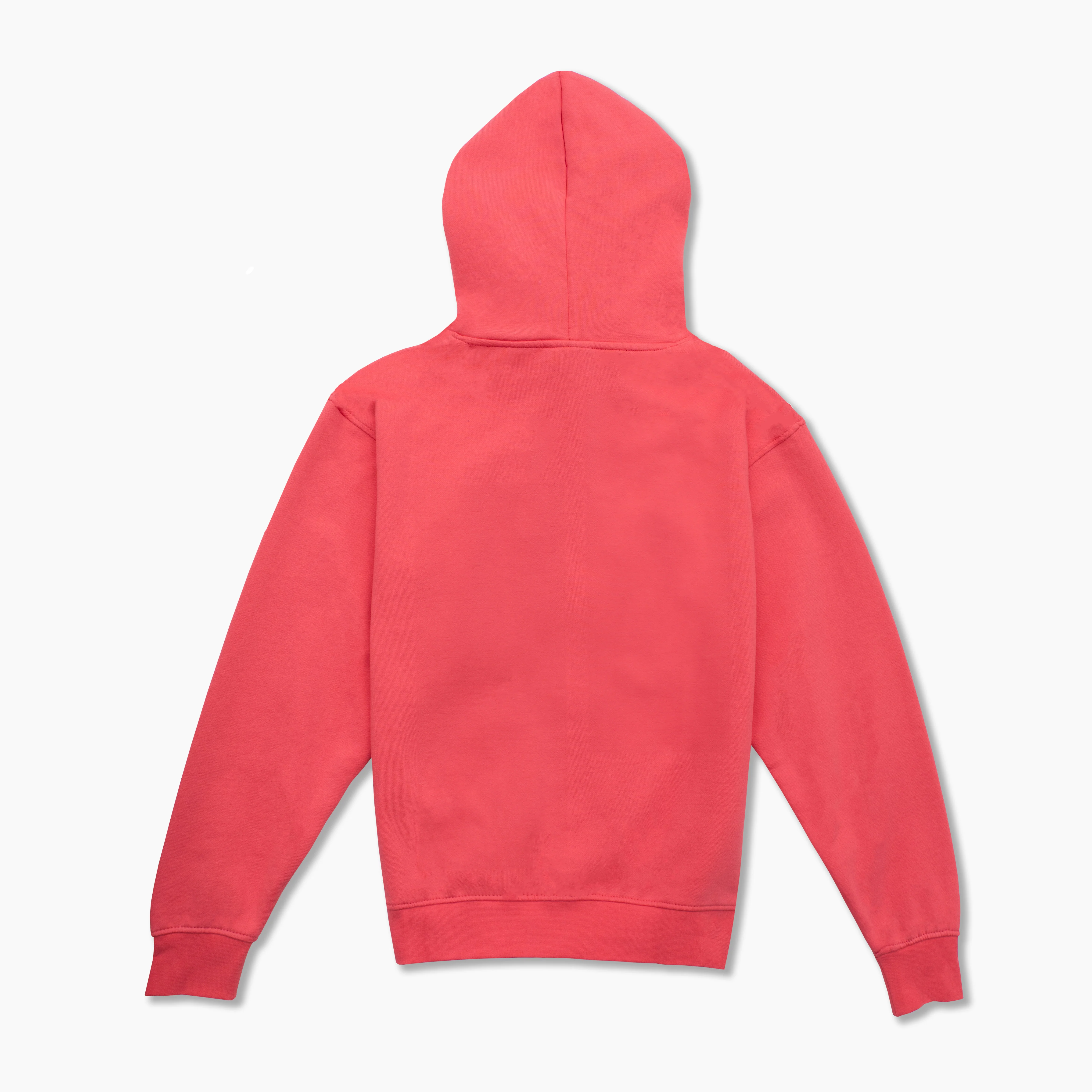 Legion XIII | Soft Arch Hoodie - Image 2