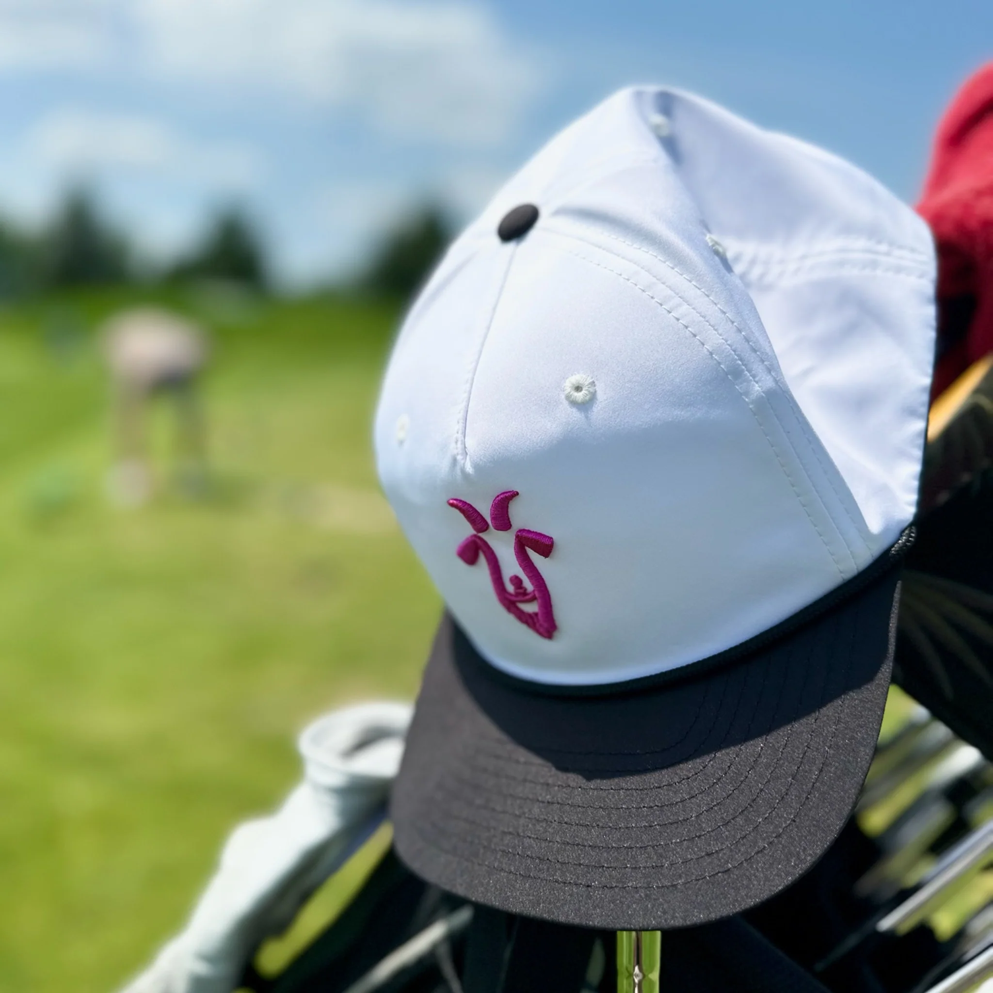 RangeGoats GC | Clean Sweep Hat - Image 4